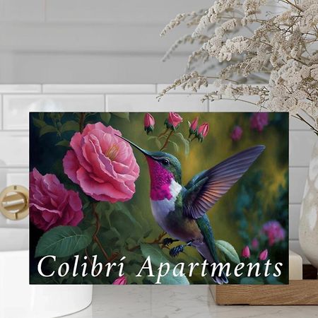 Colibri Apartamentos Vista Mar Мохакар Екстериор снимка