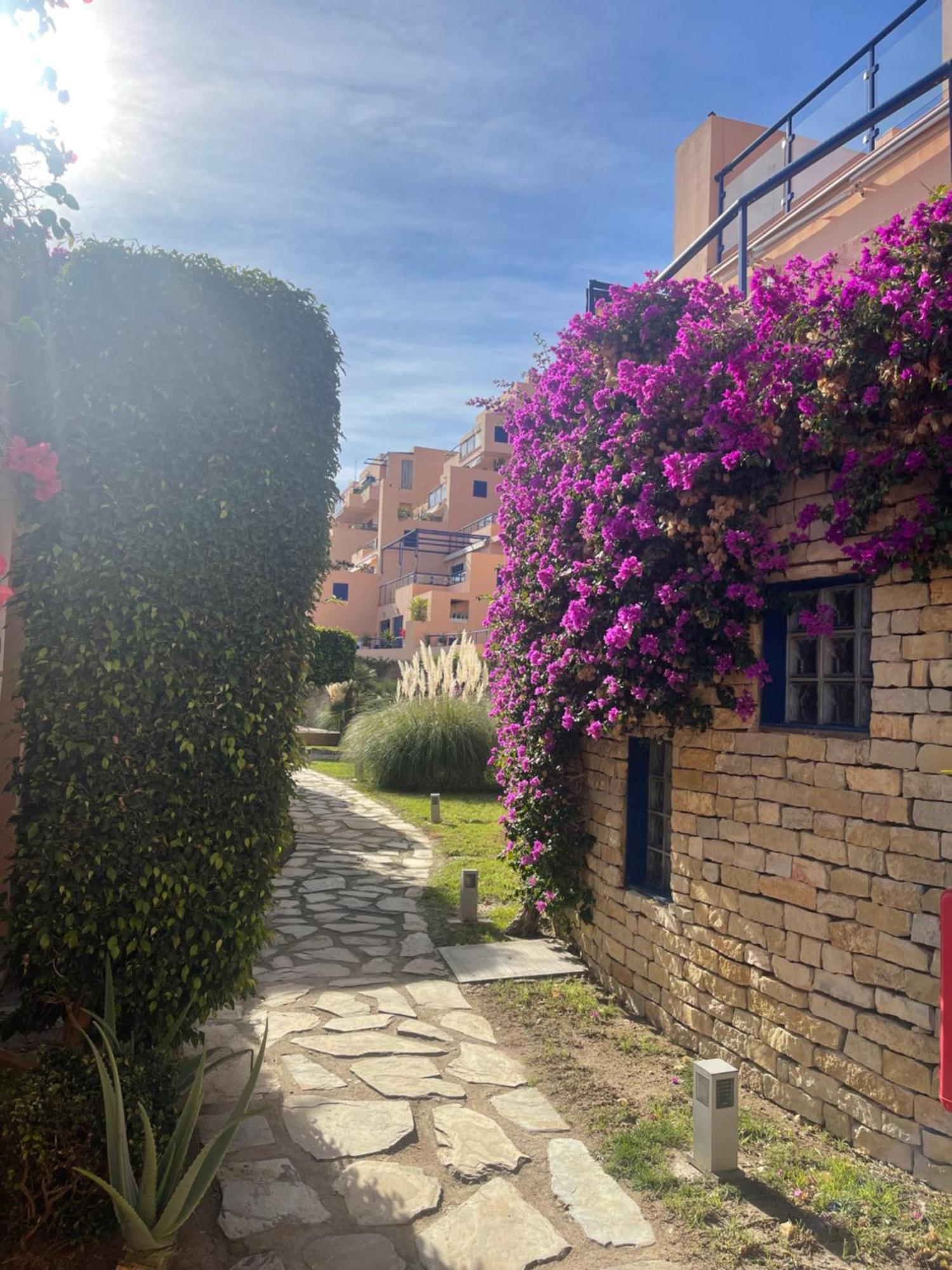 Colibri Apartamentos Vista Mar Мохакар Екстериор снимка